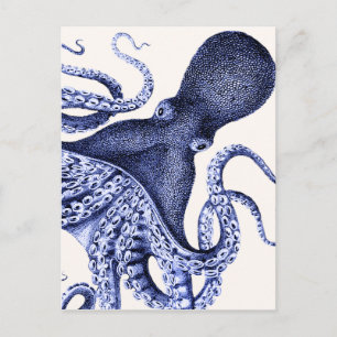 Carte Postale Paysage Bleu Octopus