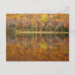 Carte Postale paysage d'automne avec lac, Vermont, États-Unis