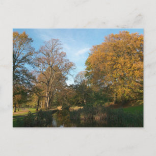 Carte Postale Paysage d'automne Bute Park Cardiff