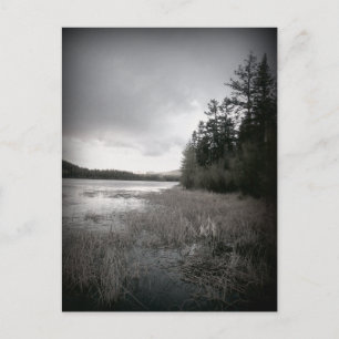 Carte Postale Paysage de B&W Lake Marsh