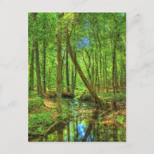 Carte Postale Paysage de Géorgie (Devant)