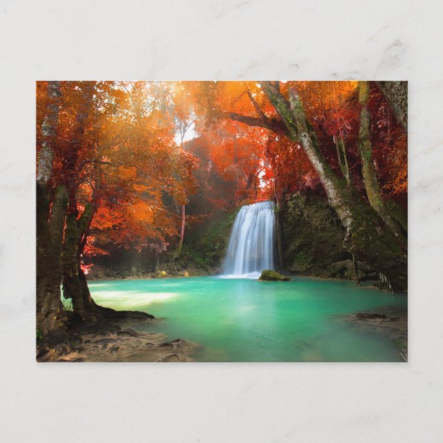 Carte Postale Paysage de Jangle | Kanchanaburi, Thaïlande (Devant)