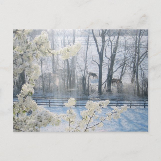 Carte Postale Paysage de la nature pastorale en hiver (Devant)