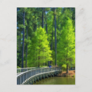 Carte Postale Paysage de l'appel