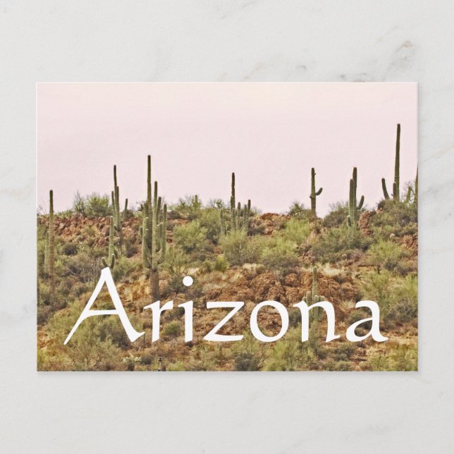 Carte Postale Paysage de l'Arizona Cactus (Devant)