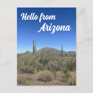Carte Postale Paysage de l'Arizona Saguaro Cactus Nature