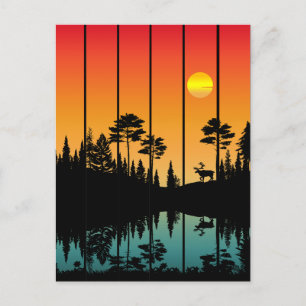 Carte Postale Paysage de lever de soleil en forêt au coucher du