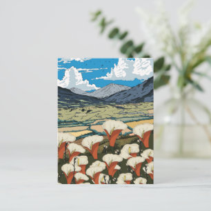 Carte Postale Paysage de prairie de fleurs sauvages magnifiques