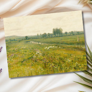 Carte Postale Paysage de prairie étendu avec oies