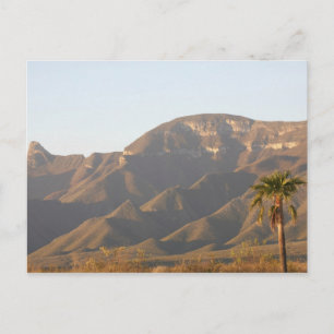 Carte Postale Paysage de ranch désert près de Monterey, Mexique.