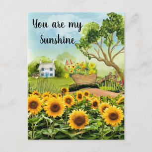 Carte Postale Paysage de tournesols jaunes