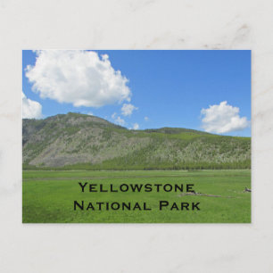 Carte Postale Paysage de Yellowstone Photo Parc national de la m