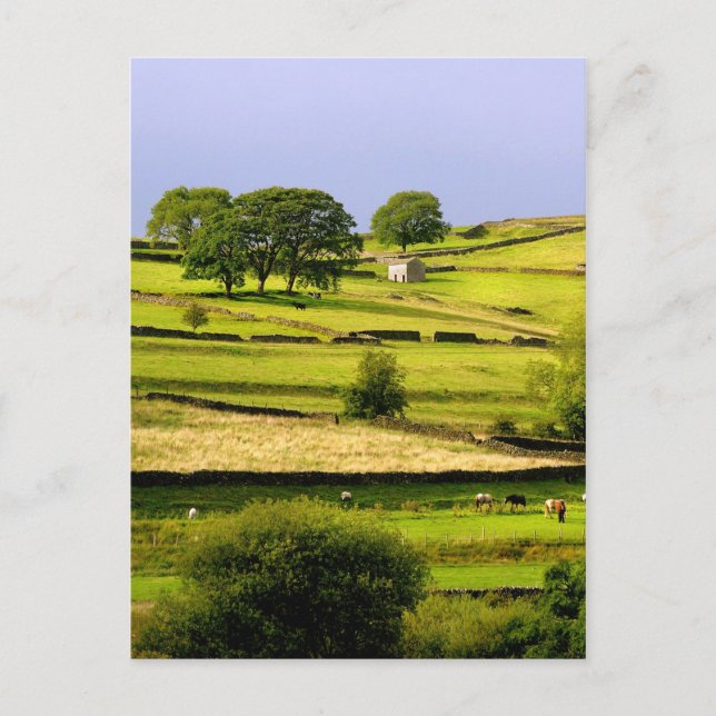 Carte Postale Paysage de Yorkshire (Devant)