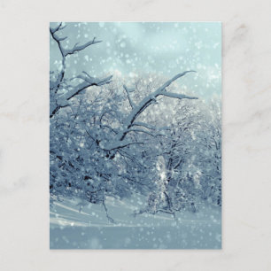 Carte Postale Paysage des arbres d'hiver