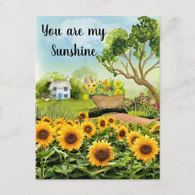 Carte Postale Paysage des tournesols jaunes (Devant)