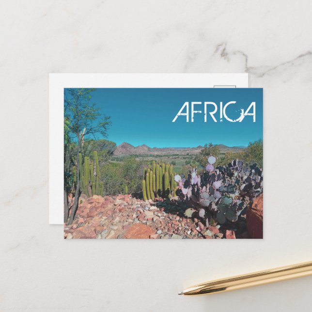 Carte Postale Paysage désertique d'Afrique Nature Plantes de cac (Devant/Arrière en situation)