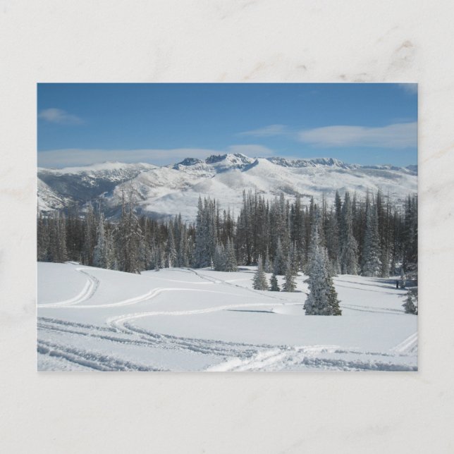 Carte Postale Paysage d'hiver (Devant)