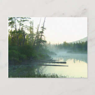 Carte Postale Paysage du marais des arbres