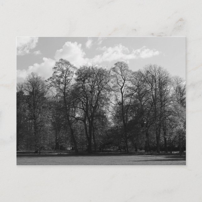 Carte Postale Paysage du parc, Bute Park, Cardiff, Pays de Galle (Devant)