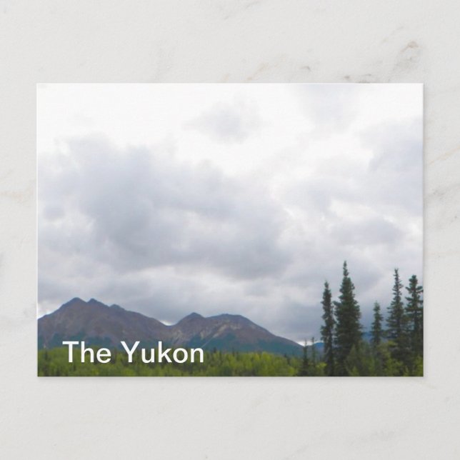 Carte Postale Paysage du Yukon (Devant)