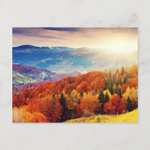 Carte Postale Paysage forestier d'automne de montagne