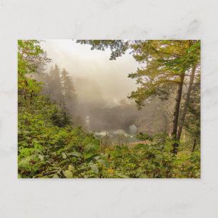 Carte Postale Paysage forestier et océanique
