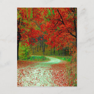 CARTE POSTALE PAYSAGE FORESTIER ROUTIER BOTANIQUE NATURE
