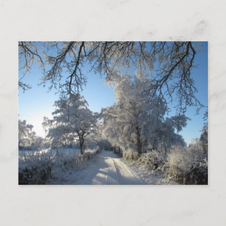 Carte Postale Paysage hivernal : Cheshire
