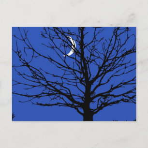 Carte Postale Paysage lunaire en bleu et noir de Cobalt