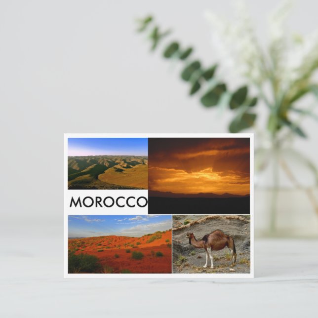 Carte Postale Paysage marocain 2 (Debout devant)
