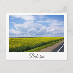 Carte Postale Paysage naturel Champ de canola rural Biélorussie