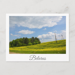 Carte Postale Paysage naturel Champ de canola rural Biélorussie