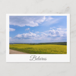 Carte Postale Paysage naturel Champ de canola rural Biélorussie