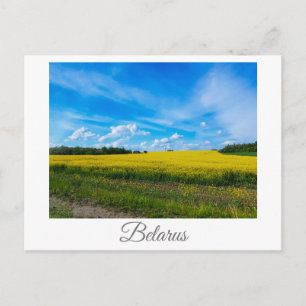 Carte Postale Paysage naturel Champ de canola rural Biélorussie