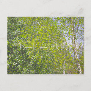 Carte Postale Paysage naturel Paysage rural Paysages boisés