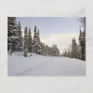 Carte Postale paysage Neige-couvert