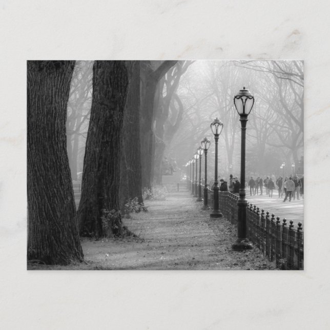 Carte Postale Paysage noir et blanc à Central Park (Devant)