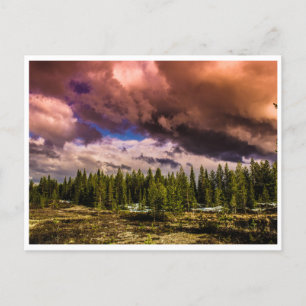 Carte Postale Paysage nordique spectaculaire