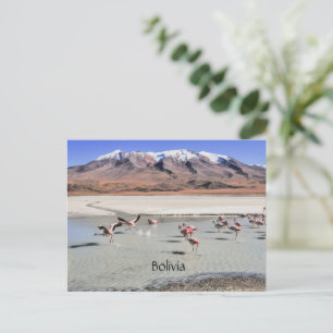 Carte Postale Paysage pittoresque de Bolivie