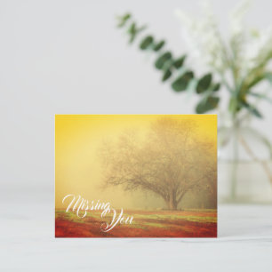 Carte postale Paysage qui vous manque