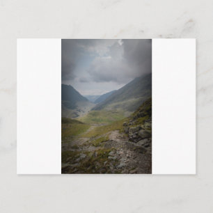 Carte Postale Paysage sauvage en Roumanie
