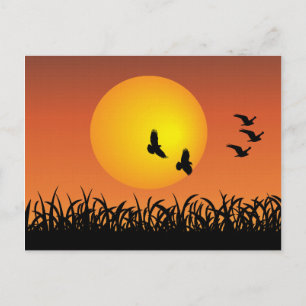 Carte Postale Paysage solaire avec oiseaux volants Canards