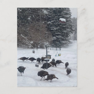 Carte Postale PC fête d'hiver rassemblement réunion amusant