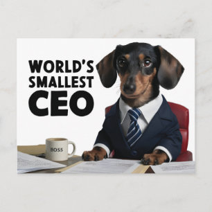 Carte Postale PDG le plus petit du monde, dachshund mignon et dr