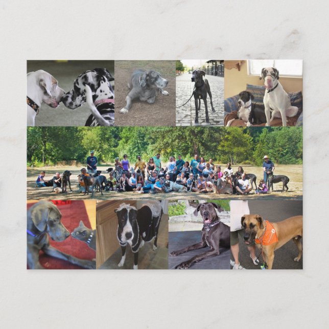 Carte postale PDXDanes (Devant)