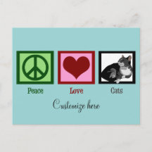 Peace Love Chats Cute Custom Turquoise