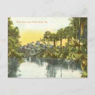 Carte Postale Peace River scène vintage, Punta Gorda Floride
