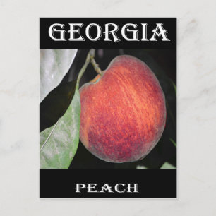 Carte Postale Peach