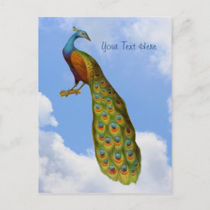 Carte postale Peacock Art Bird