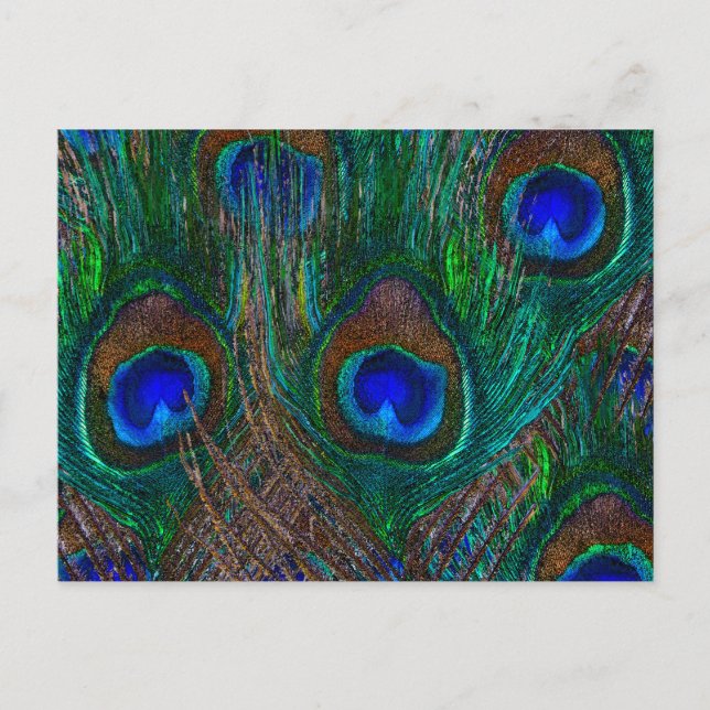 Carte Postale Peacock Coloré Plumes Etching Style (Devant)